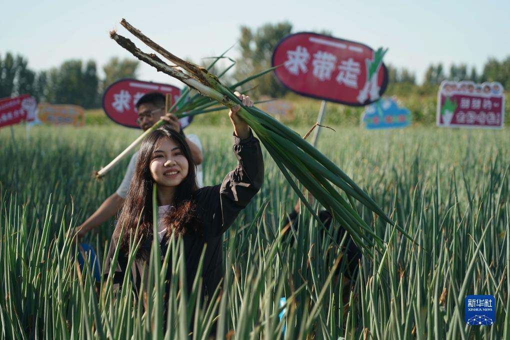 凯发投注平台